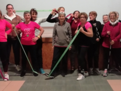 Section Gym Labastidette