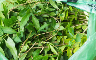 Information – Bennes de déchets verts à Labastidette