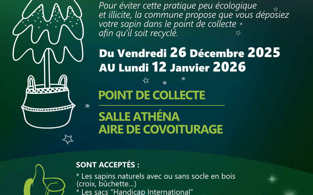 Points de collecte des sapins de Noël