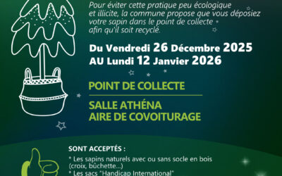 Points de collecte des sapins de Noël