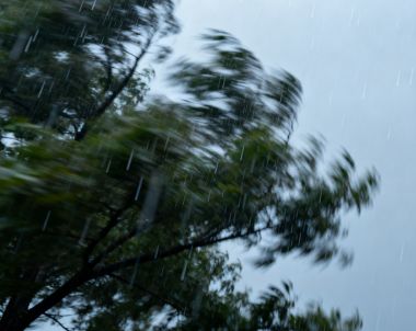 Vigilance météo et Tempête Pedro