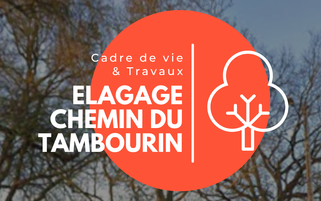 🚧 Info circulation – Chemin du Tambourin
