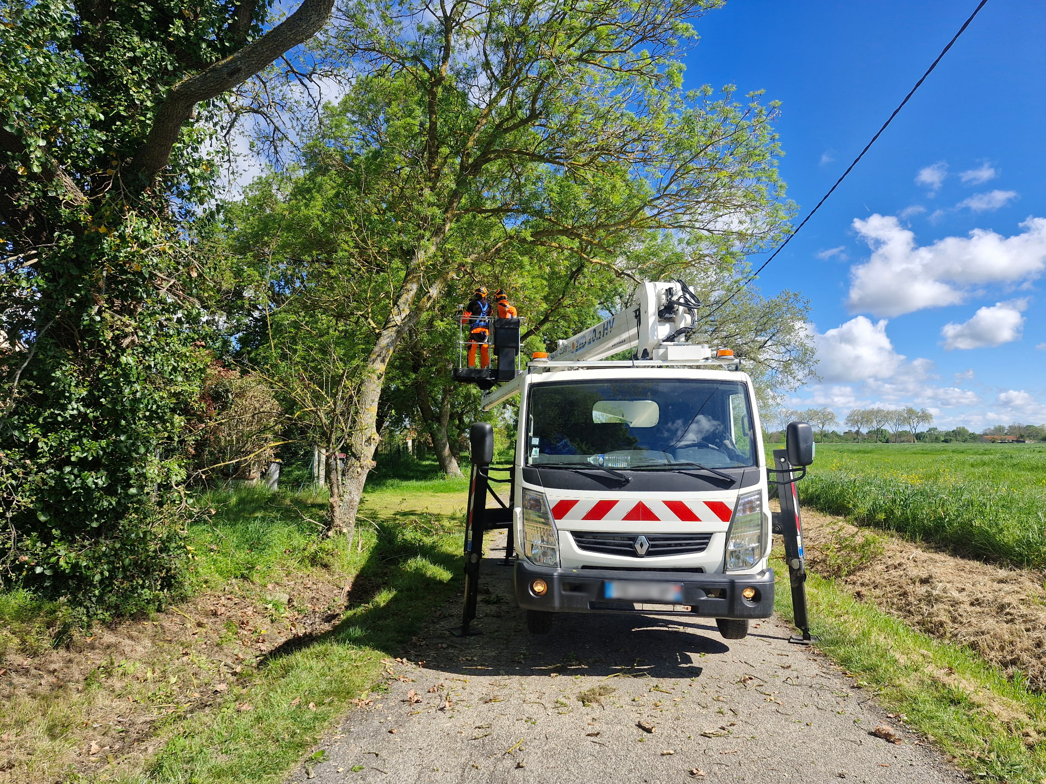 Photo elagage tambourin Les encombrants, comment ça marche ?