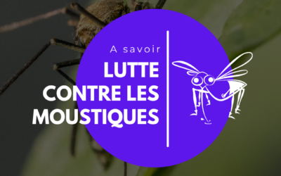 Lutte contre les moustiques : des traitements anti-larvaires réalisés