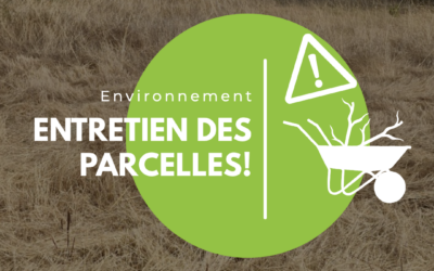Entretien des parcelles : un geste essentiel pour la sécurité de tous
