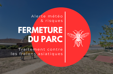Parc fermé – Frelons asiatiques