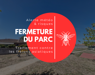 Parc fermé – Frelons asiatiques